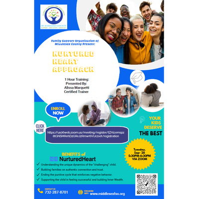 Nurtured Heart Approach: 1 hour Training