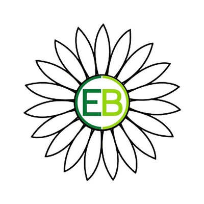 Daisy Special Needs Program for Children & Young Adults
