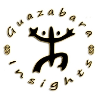 Guazabara Insights, LLC